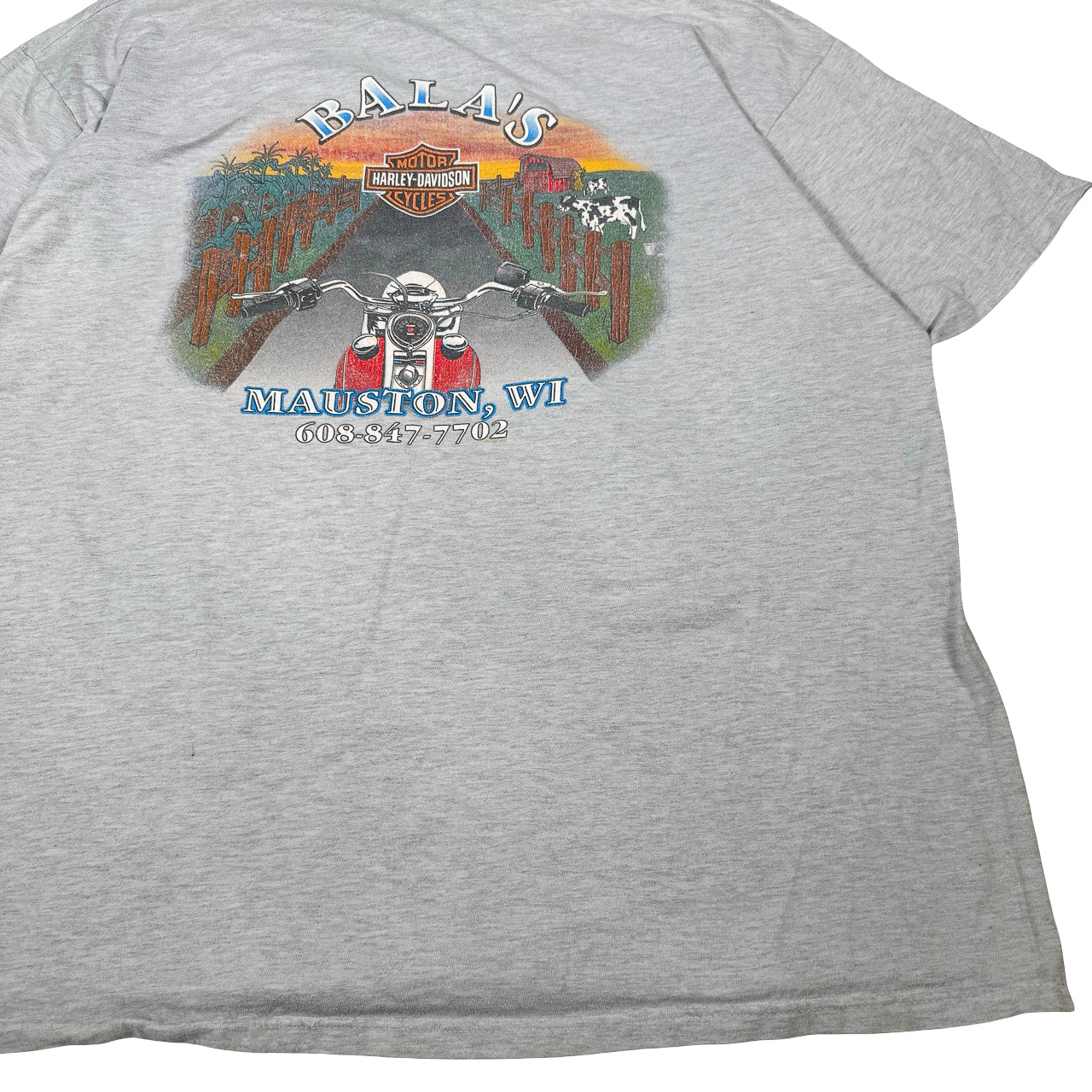 Harley Davidson Balas Mauston WI Vintage Tee XXL