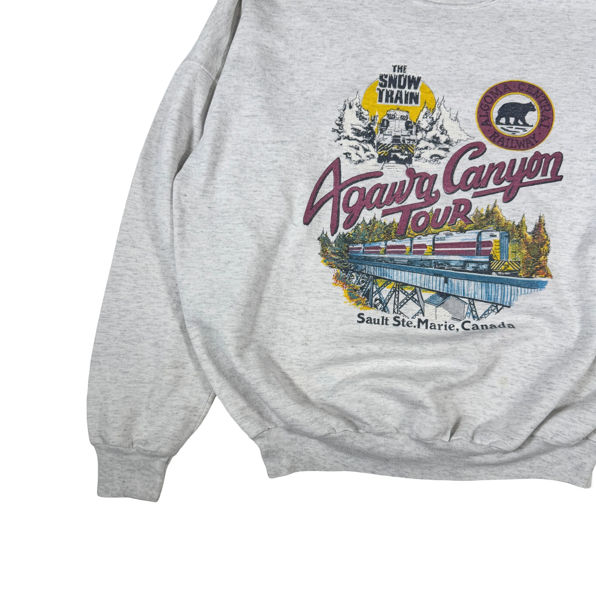 Impression Canada Single Stitch AOP Agawa Canyon Tour Sweatshirt L