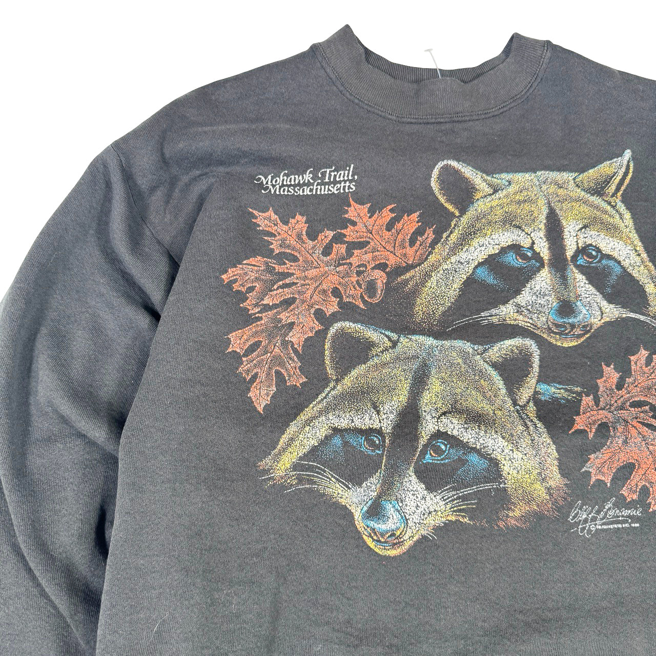 Mohawk Trail Massachusetts Sweatshirt — 1990s Twin Raccoons Nature Graphic L