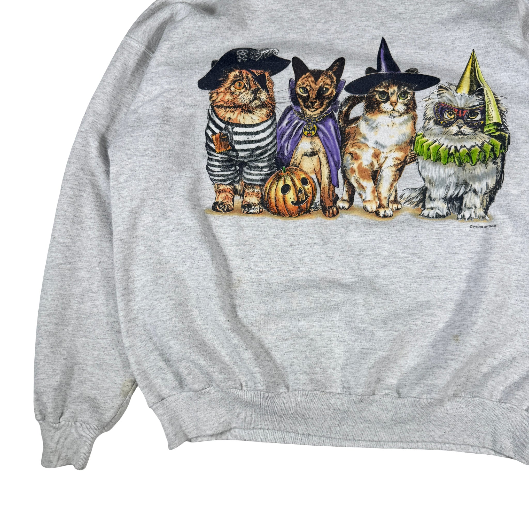 Hanes AOP Double Stitch 4 Halloween Cats Sweatshirt XL