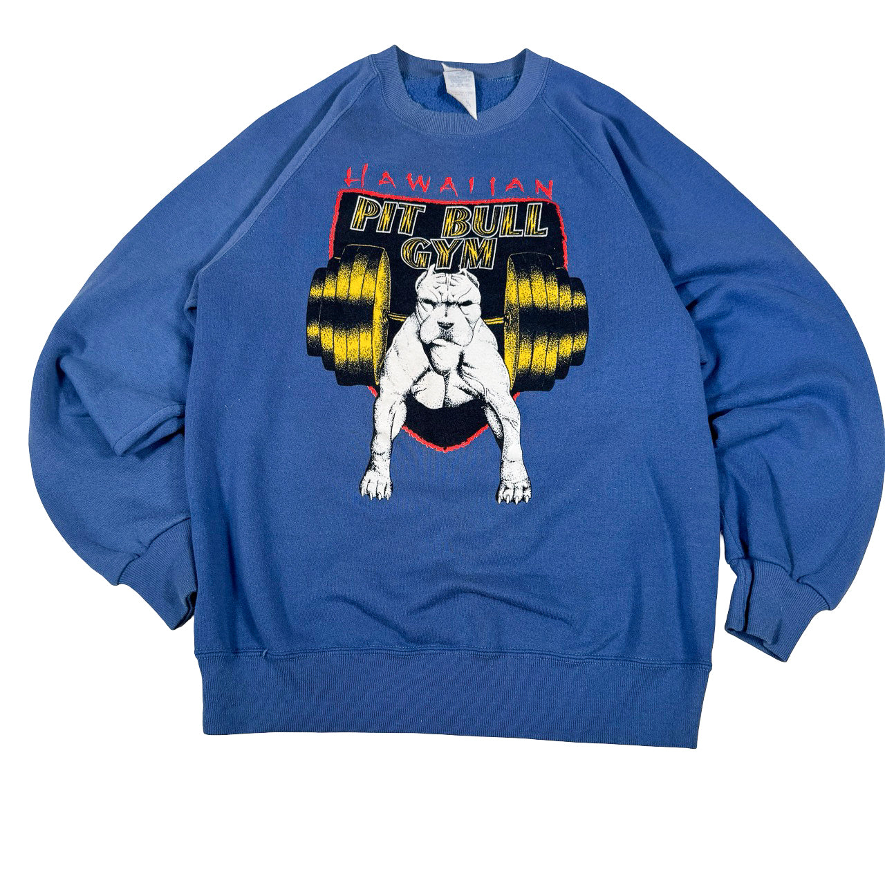 Jerzees Hawaiian Pit Bull Gym Sweatshirt — Y2K Blue Crewneck Large