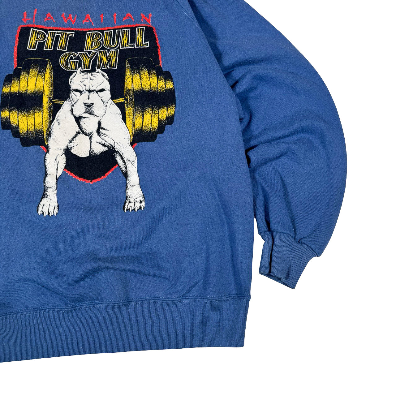 Jerzees Hawaiian Pit Bull Gym Sweatshirt — Y2K Blue Crewneck Large