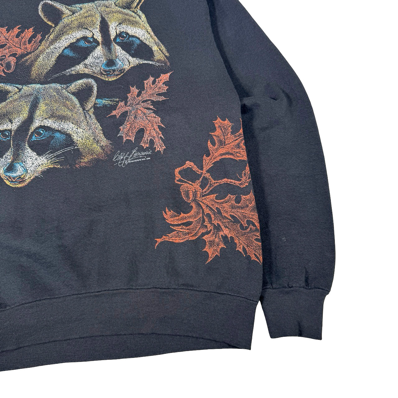 Mohawk Trail Massachusetts Sweatshirt — 1990s Twin Raccoons Nature Graphic L