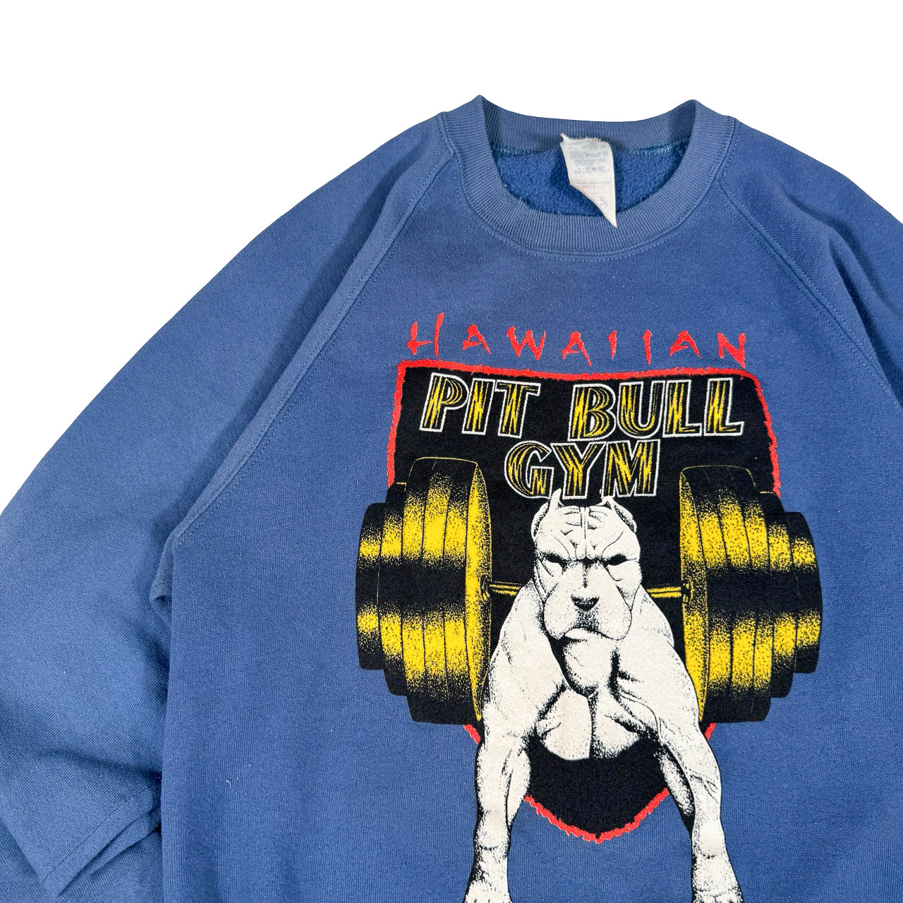 Jerzees Hawaiian Pit Bull Gym Sweatshirt — Y2K Blue Crewneck Large