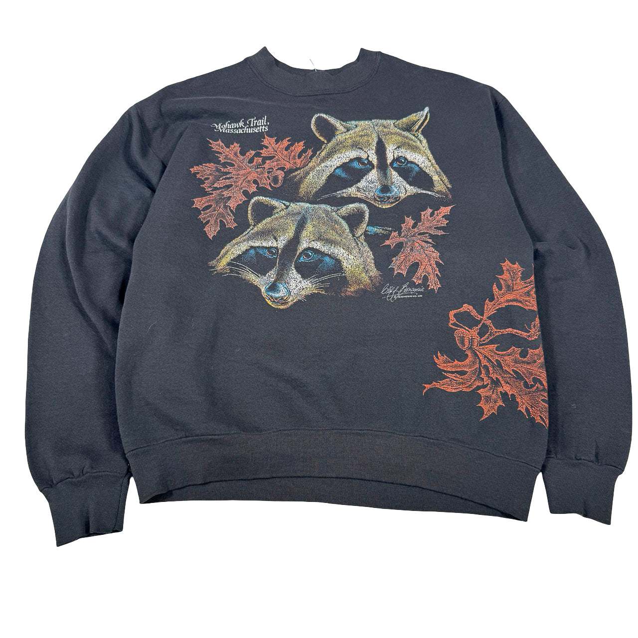 Mohawk Trail Massachusetts Sweatshirt — 1990s Twin Raccoons Nature Graphic L
